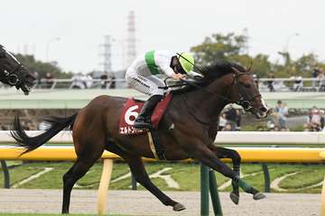 【香港チャンピオンズマイルの注目点】日本馬８年ぶりの勝利なるか？　ゴールデンシックスティは４連覇を狙う