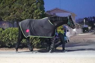 【有馬記念】調教後馬体重　ジャスティンパレスは４８２キロ