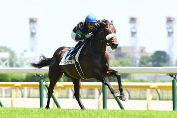 【２歳次走報】東京９Ｆの新馬勝ちシャンドゥレールは札幌２歳Ｓを視野に