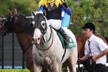 【函館記念】連覇を狙ったハヤヤッコは５着まで　浜中俊騎手「一番の影響は斤量」