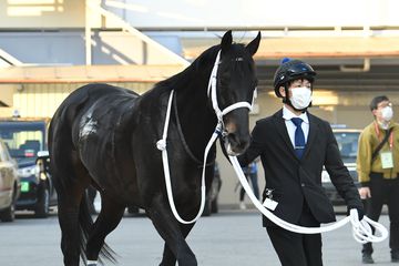 【ドバイＷＣデー】日本馬２２頭が参戦！世界競馬の祭典の注目点
