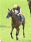 【宝塚記念】大阪杯２着のモズベッロは８着　池添謙「内にいる馬に有利に…」