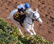 【秋華賞】ソダシ牝馬２冠へ余裕の自己ベスト