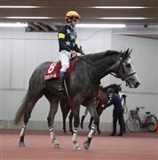 【京都新聞杯】マカオンドールは追い込み届かず３着　浜中「勝ち馬のポジションが欲しかった」