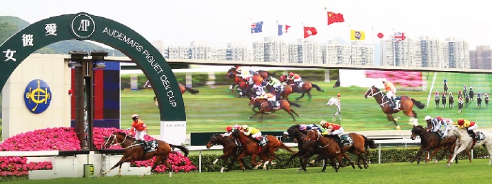 Hong kong horse racing tips