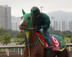 【香港国際競走】平松さとしの解説（香港カップ） | 競馬コラム | ウマニティ