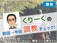 【くりーくの前回→今回調教チェック！】～2016菊花賞～ | コラム | ウマニティ