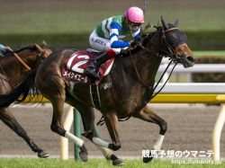 【香港国際競走2022】レース展望②＜香港スプリント＞日本馬ではG1未勝利ながらメイケイエールを最上位に | 競馬コラム | ウマニティ