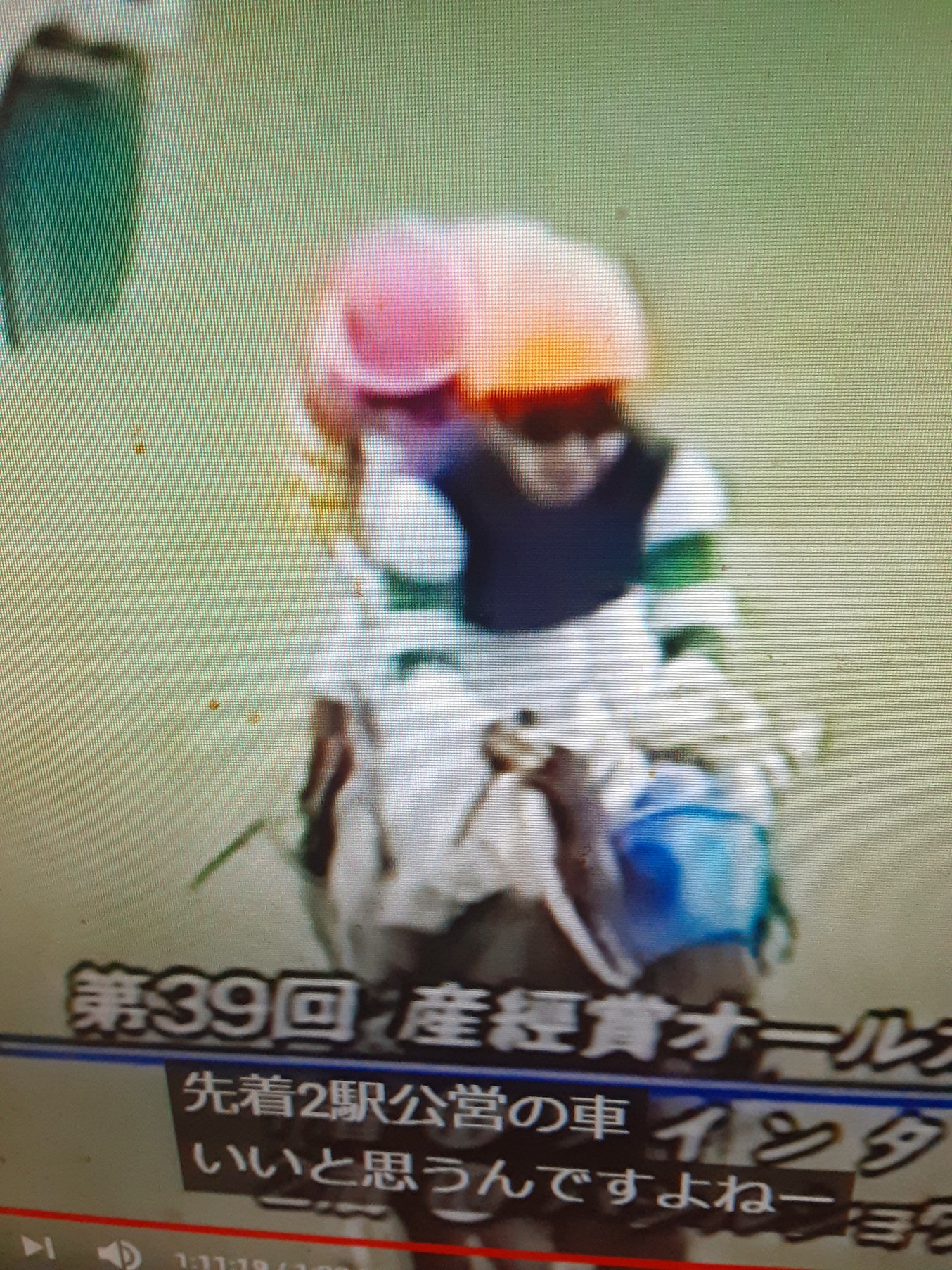 ツインターボ19年産 競走馬データtop 競馬予想のウマニティ サンスポ ニッポン放送公認sns