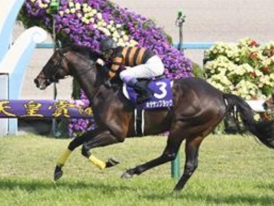 天皇賞（春）2018特集｜競馬予想のウマニティ