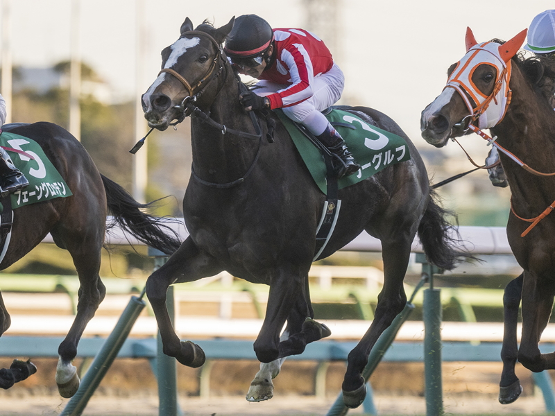 競馬予想のウマニティ