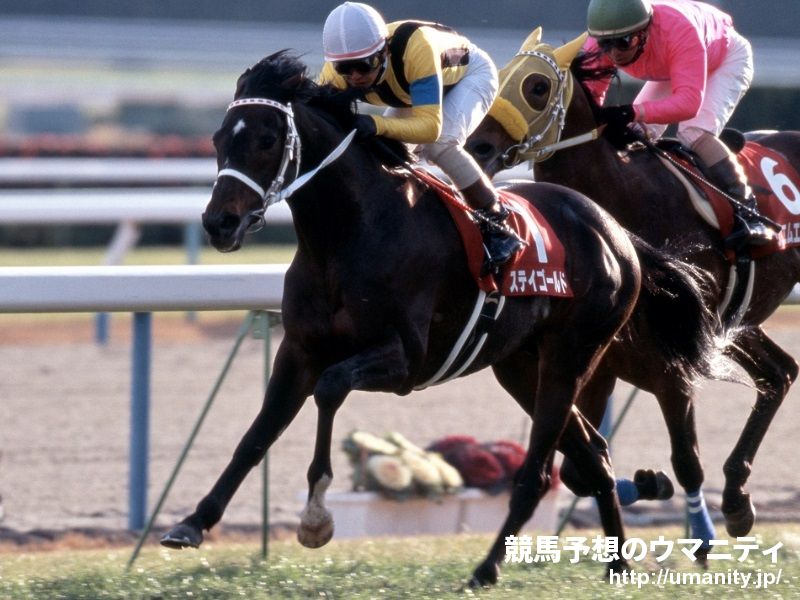 ステイゴールド 種牡馬 1994年産 競走馬データtop 競馬予想のウマニティ サンスポ ニッポン放送公認sns