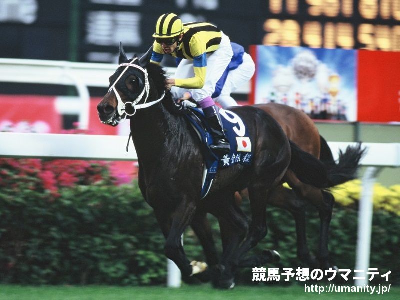 ステイゴールド 種牡馬 1994年産 競走馬データtop 競馬予想のウマニティ サンスポ ニッポン放送公認sns