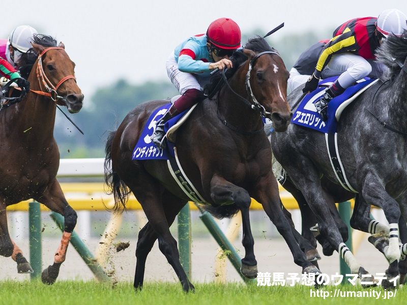 【マイルチャンピオンシップ2021予想】今年の阪神芝1600mはキングカメハメハの血を引く馬が台頭