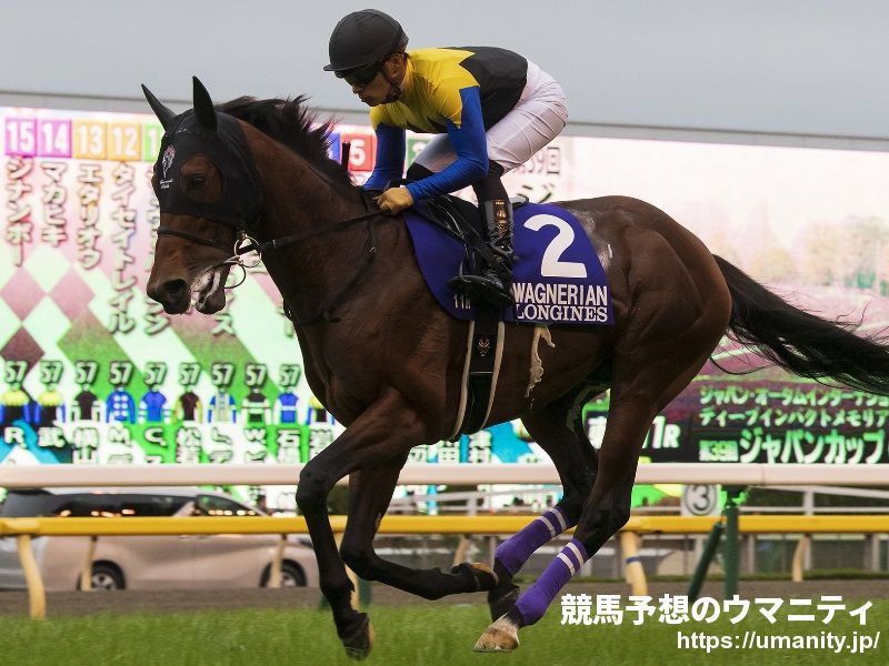【大阪杯2020】内め～中をうまく立ち回った馬が優位！高速馬場に転じる可能性も！