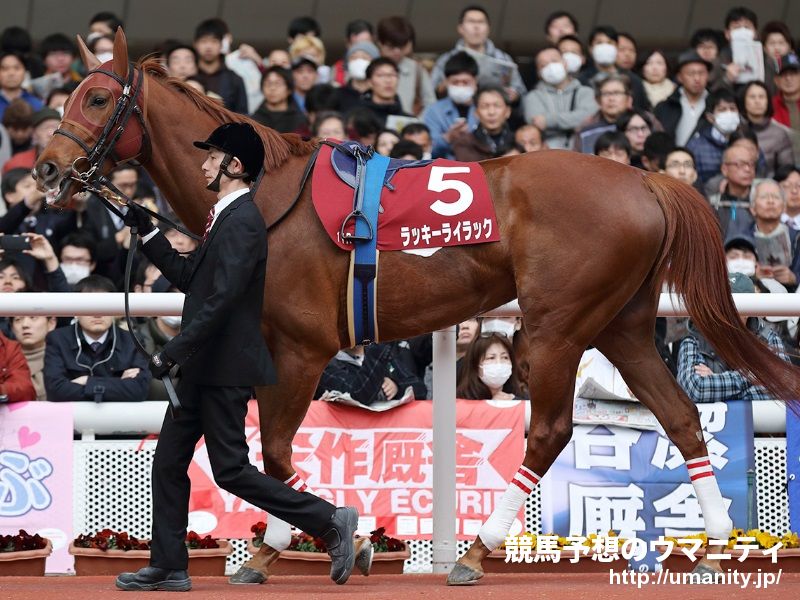 【札幌記念2020予想】中山の非根幹距離重賞に実績のある馬の活躍が目立つ