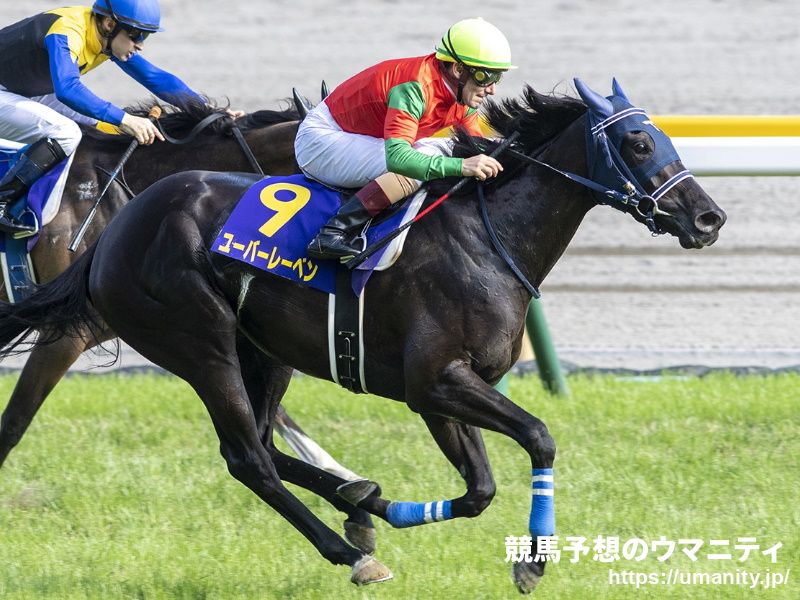 【京都記念2022予想】後継種牡馬の活躍も目立つステイゴールド