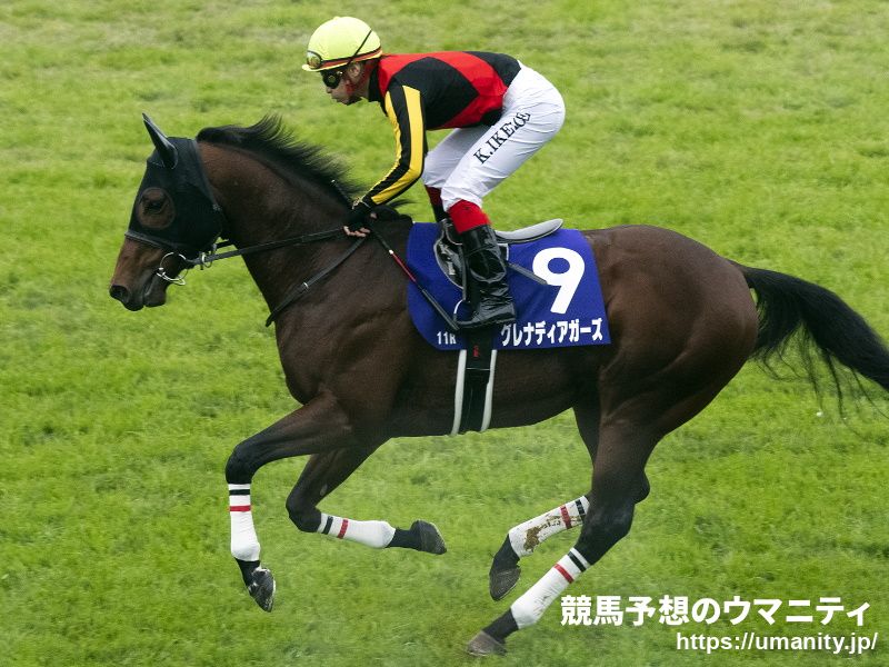 【阪神カップ2021予想】最強のピンチヒッターを得た実力馬が得意舞台で覚醒！