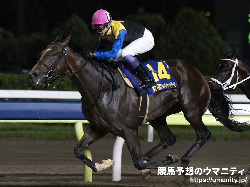 【名古屋グランプリ2024特集】併せ馬でいい動きのノットゥルノ