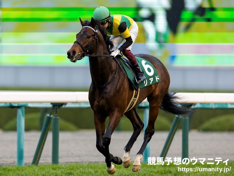 【京都新聞杯2022特集】条件が好転する超高額馬の巻き返しをコースの達人が演出！
