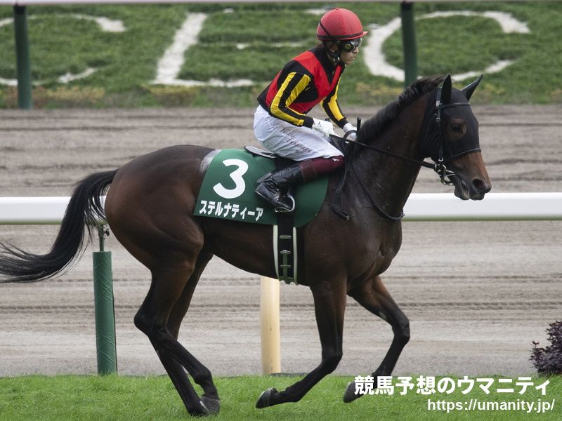 【阪神ジュベナイルフィリーズ2021予想】土曜日は上がり3ハロン最速馬が活躍！10週目の開催とすれば、比較的時計が出やすいコンディション！