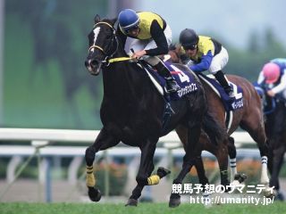 菊花賞2001