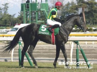 東京新聞杯2011