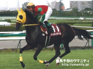 中山牝馬S2013