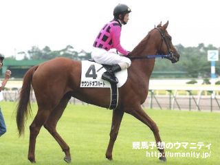 阪神牝馬S2013