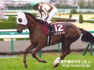 京都牝馬S2013