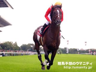 神戸新聞杯2014