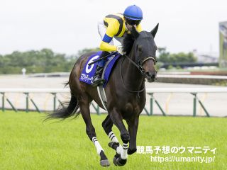阪神牝馬S2024