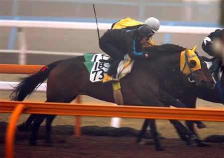 【京都記念】充実４歳ブエナ馬なり１１秒９