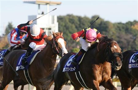 ムチの使用制限で叩き合いが消える 競馬ニュース 競馬予想のウマニティ サンスポ ニッポン放送公認sns