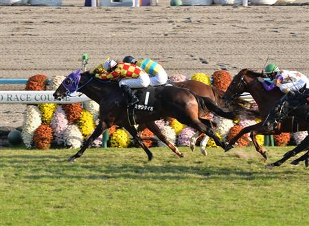 【カシオペアＳ】３歳馬ミヤジタイガが競り勝つ