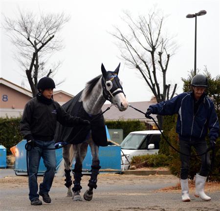 【有馬記念】ゴールド〔７〕枠「悪くない」