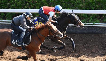 【日本ダービー】７年ぶり牝馬Ｖへ！リヴェール１２秒７