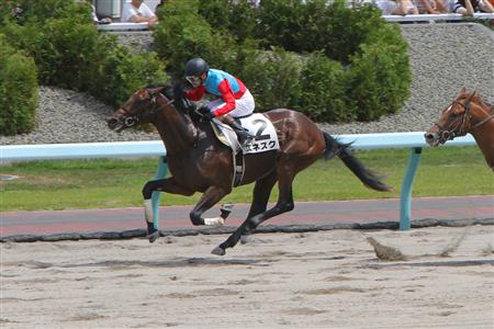 【２歳新馬】エネスクが快勝　ベーカバド産駒初勝利