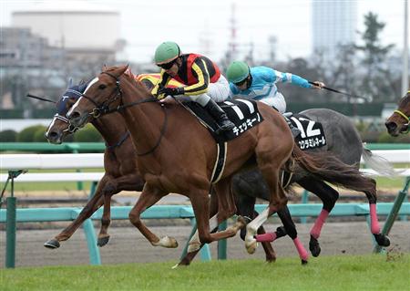 【アネモネＳ】素質馬チェッキーノが桜花賞切符を獲得