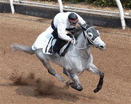【阪神牝馬Ｓ】レイアー、４馬身先着５１秒８