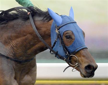 東西現場記者走る】ハニー、“ノーマーク”逃げ！｜競馬ニュース｜競馬