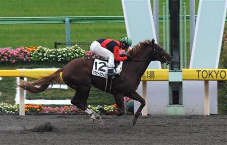 【２歳新馬】東京４Ｒ　アスタースウィングが余裕の逃走Ｖ