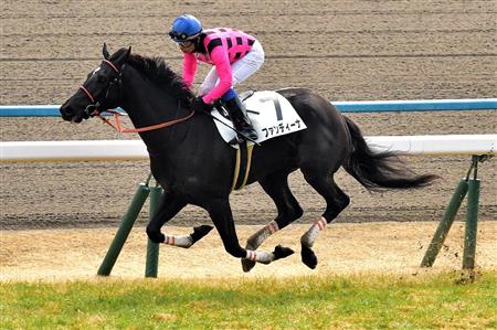 【３歳新馬】京都６Ｒ　逃げたファンディーナが９馬身差大勝