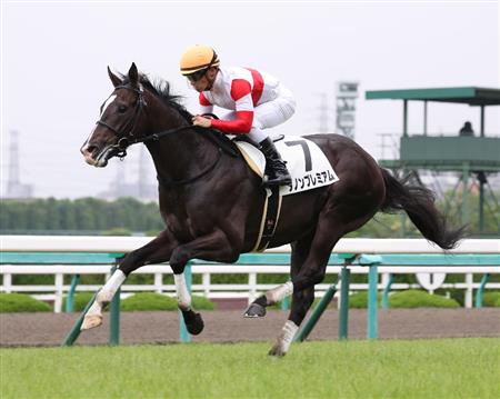 【２歳新馬】阪神５Ｒ　ディープ産駒ダノンプレミアムが快勝