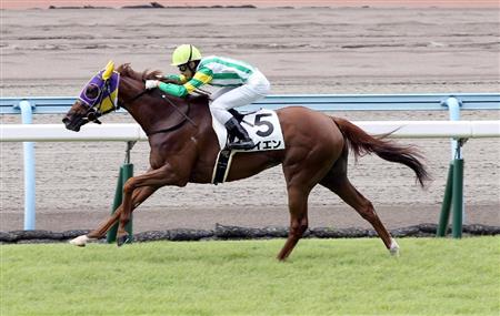 【２歳新馬】小倉６Ｒ　サイエン独走で松元茂樹厩舎が新馬戦を連勝