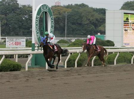 兵庫ジュニアグランプリを勝ったゴーイングパワーが引退、乗馬に