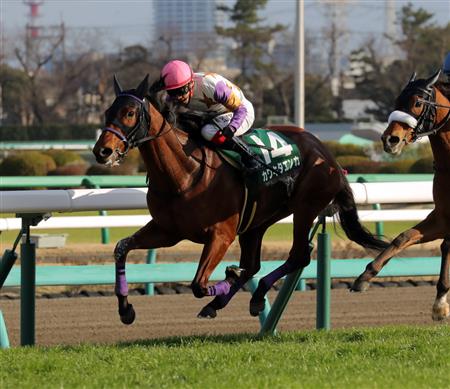 【福島牝馬Ｓ】カワキタエンカが単勝３．３倍で１番人気／１３：００時点