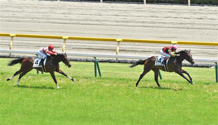 【２歳新馬】東京５Ｒ　素質キラリ！グランアレグリアが完勝