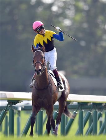 日本ダービー馬ワグネリアンは神戸新聞杯から始動