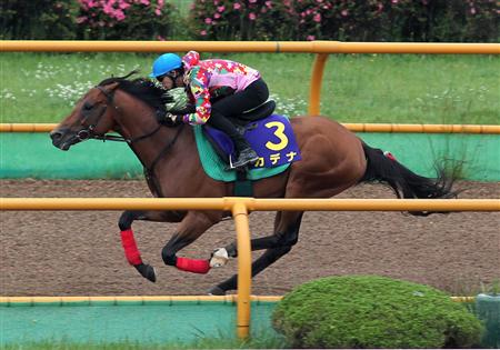 【函館記念】カデナ、馬なり１２秒４　藤岡康騎手も好感触